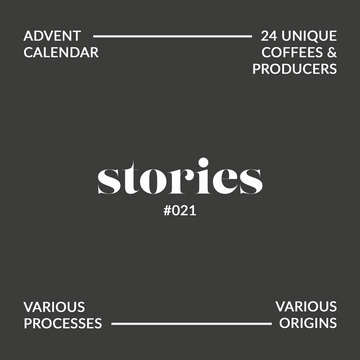 GUSTATORY Stories Onyx Coffee Lab Coffee Advent Calendar (#021)