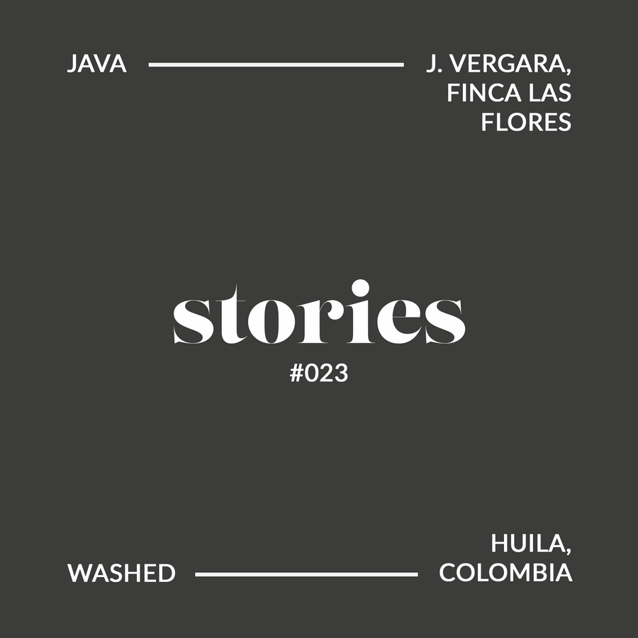 GUSTATORY Stories Nomad Colombia Las Flores Competition Java Coffee (#023)